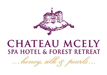 Chateau Mcely
